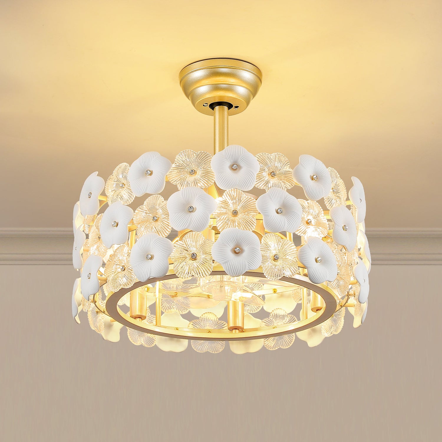 Ceiling Fans with Light