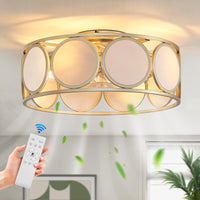 19.7'' Modern Minimalist Ceiling Fan with Light