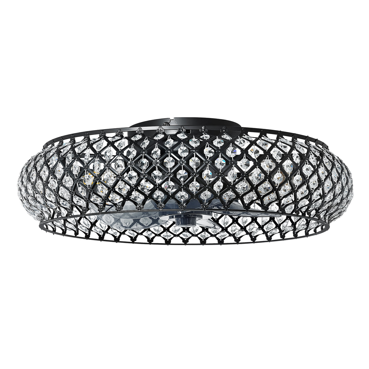 Caged Ceiling Fan with Light