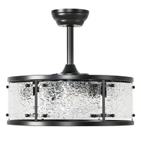Modern Ceiling Fan with Light