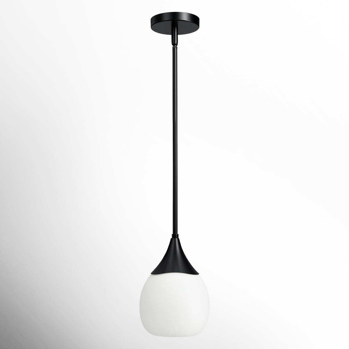 Black 6 in