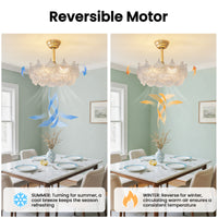 19" Indoor Crystal Cage Scallop Shape Glass Gold Ceiling Fan With Light and Remote Control 6-Speed Reversible Motor