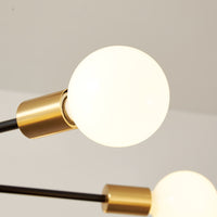 Black&Gold 12