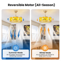 20" Indoor Gold Shade Clear Blade Low Profile Modern Acrylic Ceiling Fan with Light And Remote Control