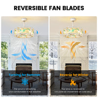 19" Indoor White Modern Enclosed Acrylic Ceiling Fan with Light and Remote Control