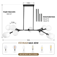 Black 11-Light