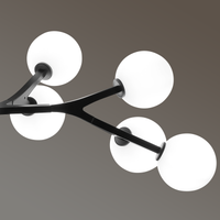 Black 11-Light