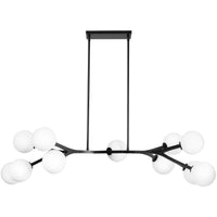 Black 11-Light
