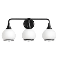 Black&White 3-Light