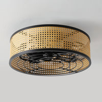 Metal Framed Woven Ceiling Fan Light