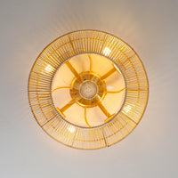 Woven Cage Ceiling Fan Light