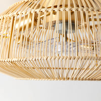 Woven Cage Ceiling Fan Light