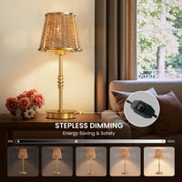 18" Modern Rattan Table Lamp (Dimmable)
