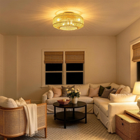 Woven Cage Ceiling Fan Light