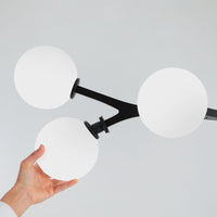 Black 6-Light