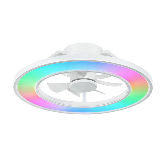 Smart Ceiling Fan with Light